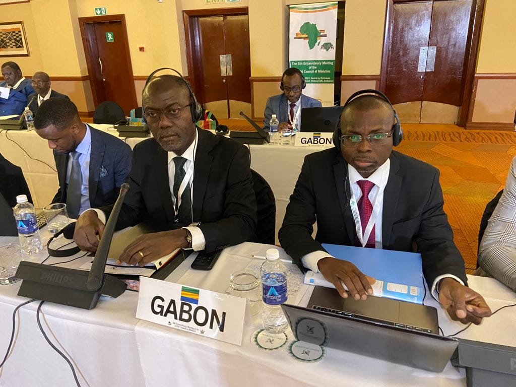 Conseil des Ministres de l'Association des pays Africains Producteurs de diamant (ADPA)